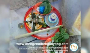 Mengetahui Balala(Basamsam) di Saat COVID-19 Kabupaten Bengkayang