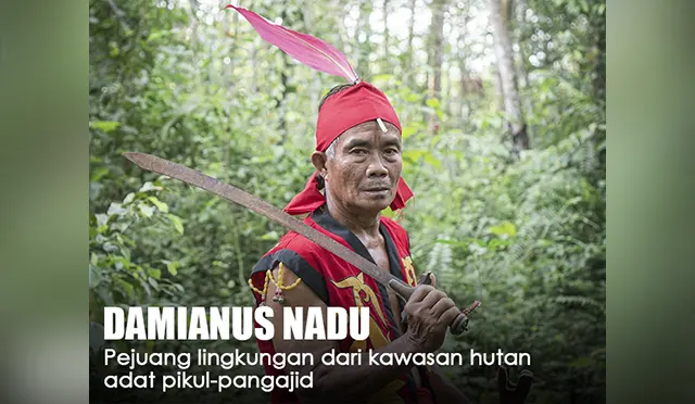 Damianus Nadu Sang Pahlawan Hutan Dari Kabupaten Bengkayang