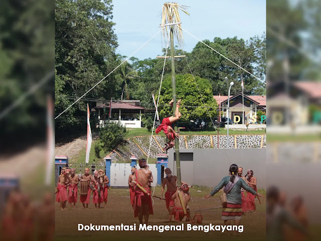 Panjat Aur Terbalik (Panjat Bambu Terbalik) Tradisi Yang Terus Diwarisi Oleh Suku Dayak Bidayuh