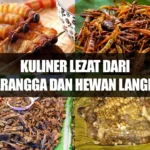 Nikmat atau Menyeramkan? Kuliner Lezat dari Serangga dan Hewan Langka